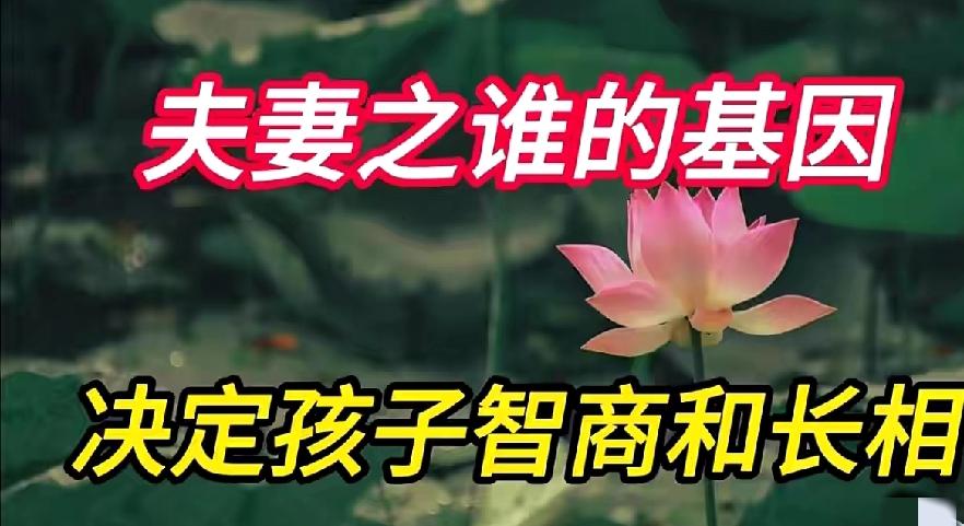 夫妻之间谁的基因决定了孩子智商和长相？答案你肯定意想不到这个问题确实是很多人