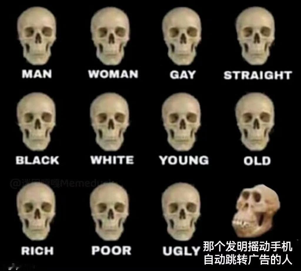 真草你的哥们
