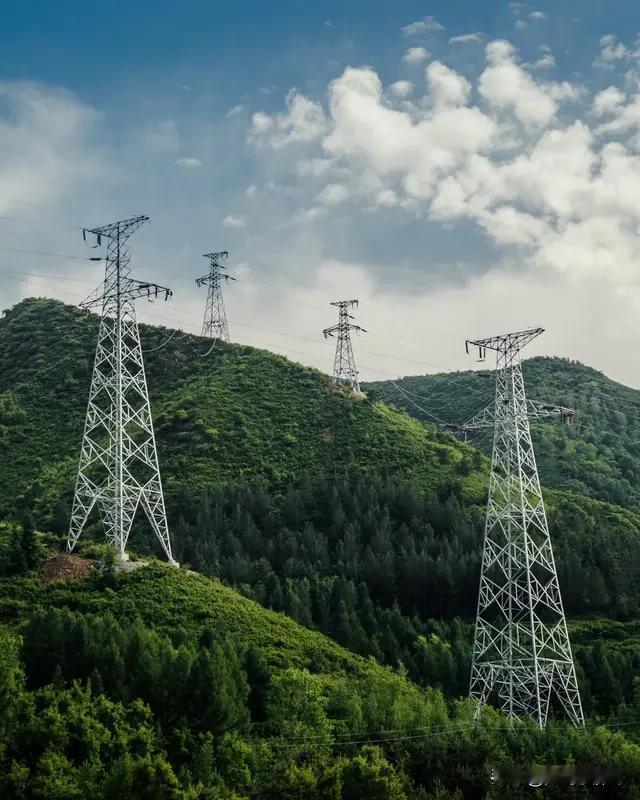 国家电网这是要成神或者叫，具身智能产业的金主爸爸刚刚，国家电网宣布，要买8