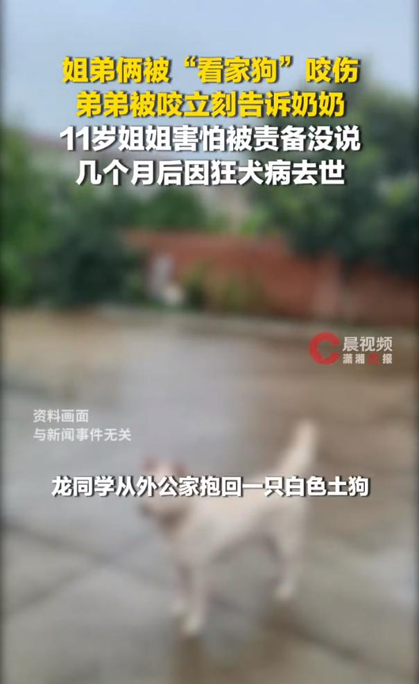 在一个十来岁孩子的眼里，被骂可能比没命更吓人湖南姐弟俩被狗狗咬伤，弟弟告诉奶