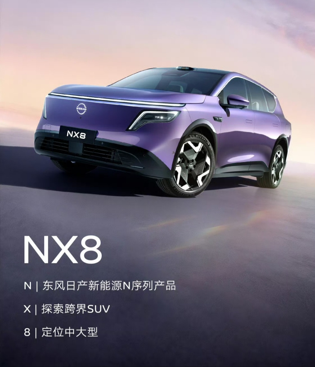 日产NX8，明牌的车…口碑很好的大沙发、冰箱、大空间、Momenta的智驾，搞不