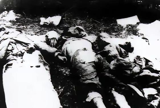 1949年，渣滓洞大屠杀，罗娟华中弹倒地，这时，她看到了躺在血泊中的婴儿，正准备