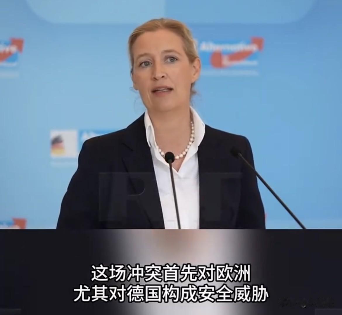 近日，德国选择党联合主席魏德尔发表一番较为忧心的讲话，她指责德国执政党正在将国家