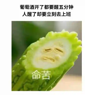 人醒了却要立刻去上班