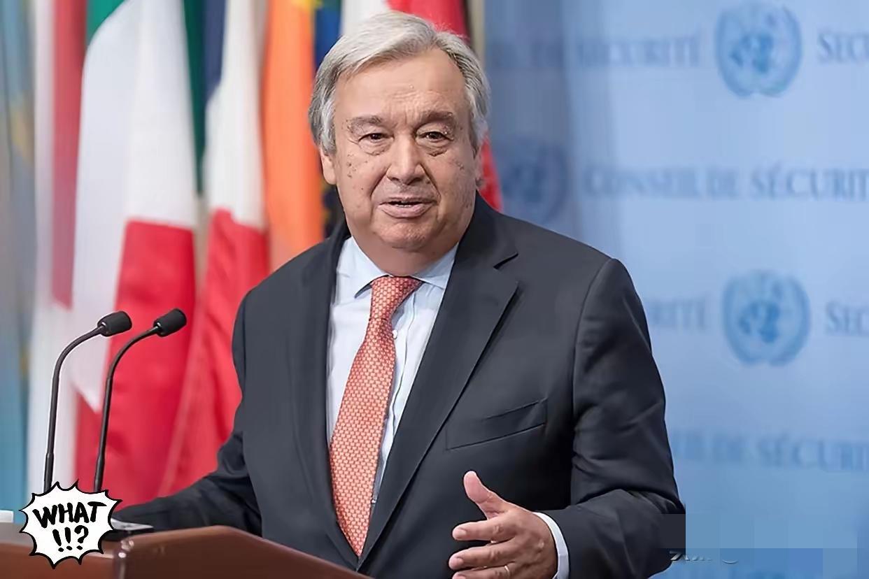 联合国发言人那句“手里没警棍，不能敲打成员国”，听着挺无奈，对吧？但我琢磨了