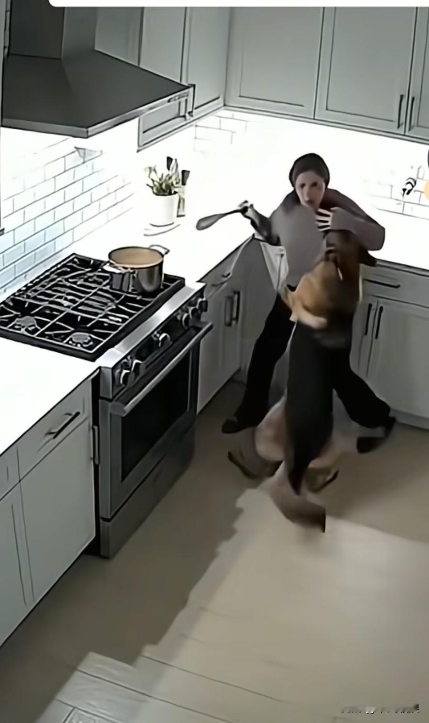 女主人开启液化气灶，正打算炒菜，狗狗嗅觉极为敏锐，赶忙推开主人。紧接着一声巨响，