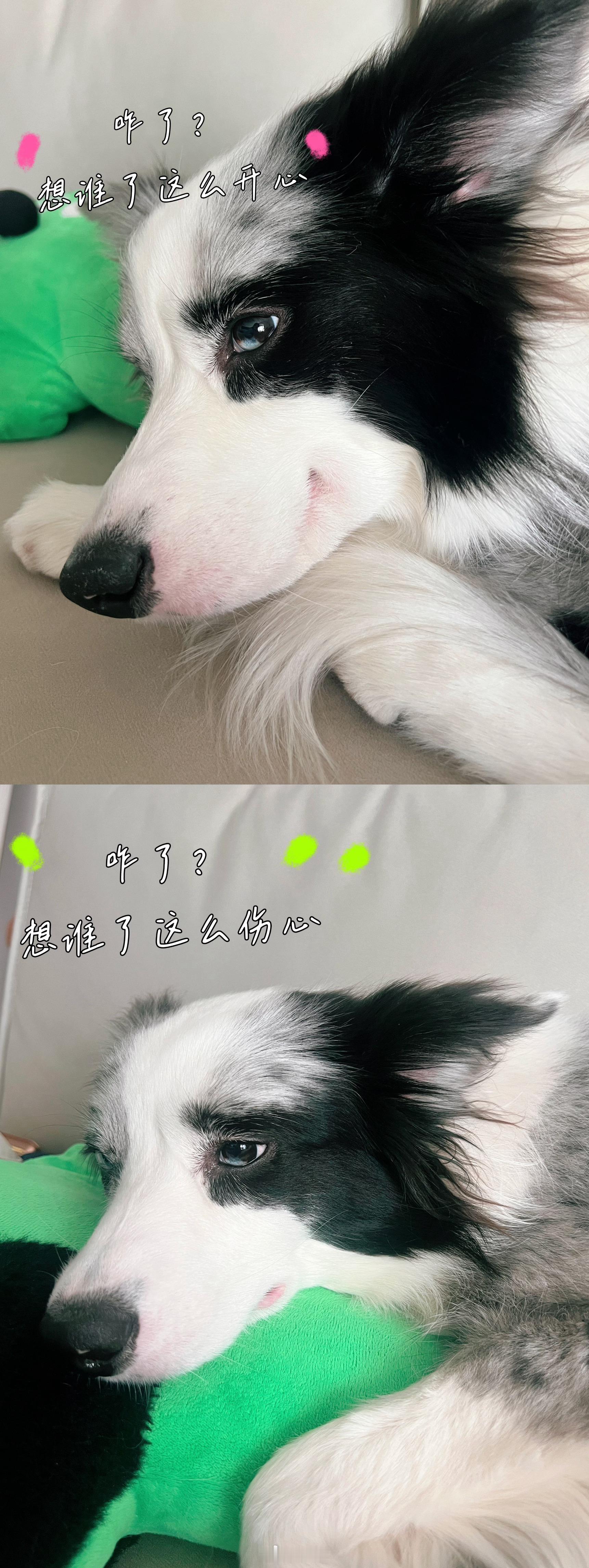 PLOG60：「我不应该告诉你我身上是什么味道」​​​