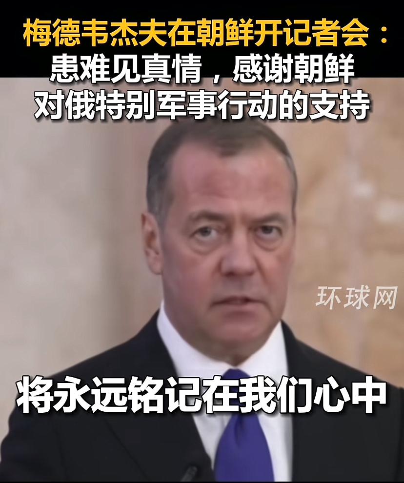 梅德韦杰夫这几句话确实动了真感情，一个大国领导人向小国说出这样的话，历史上少见。