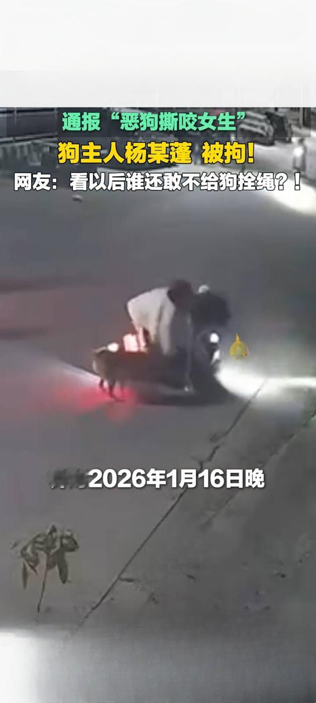 恶狗撕咬女生事件引众怒狗主人杨某蓬被依法拘留近日，一起“恶狗撕咬女生”事