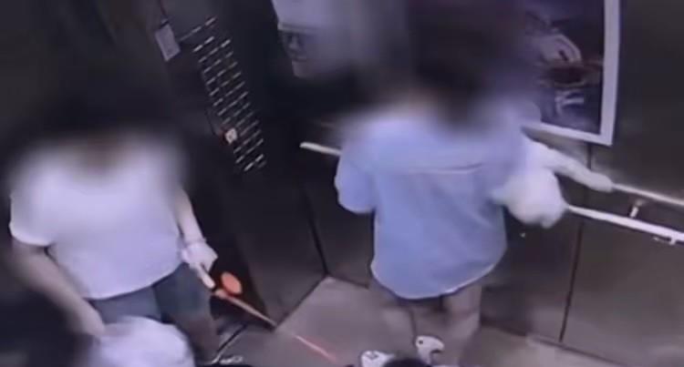 广州，陈女士抱着自家爱犬坐电梯时，自家小狗的叫声激怒了同在电梯内的边牧，边牧当场