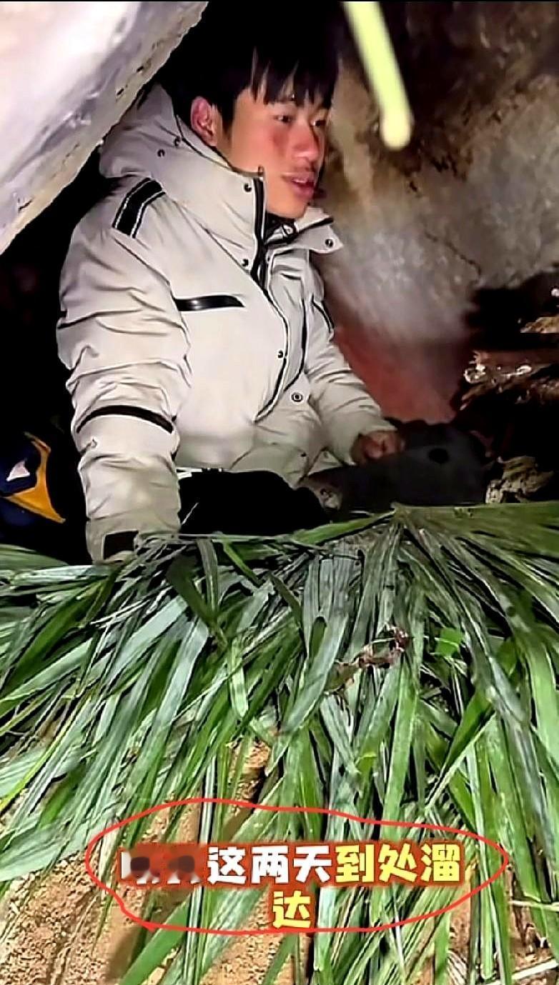 一个S级评分让林北一夜爆红，但随之而来的“作弊”质疑和镜头前的局促闪躲，恰恰暴露