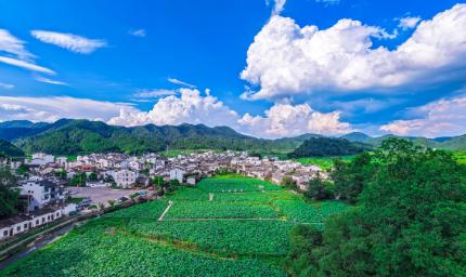 一、2026年到底多少分能上？咱直接看硬数据先上干货。2026年江西省的高考分