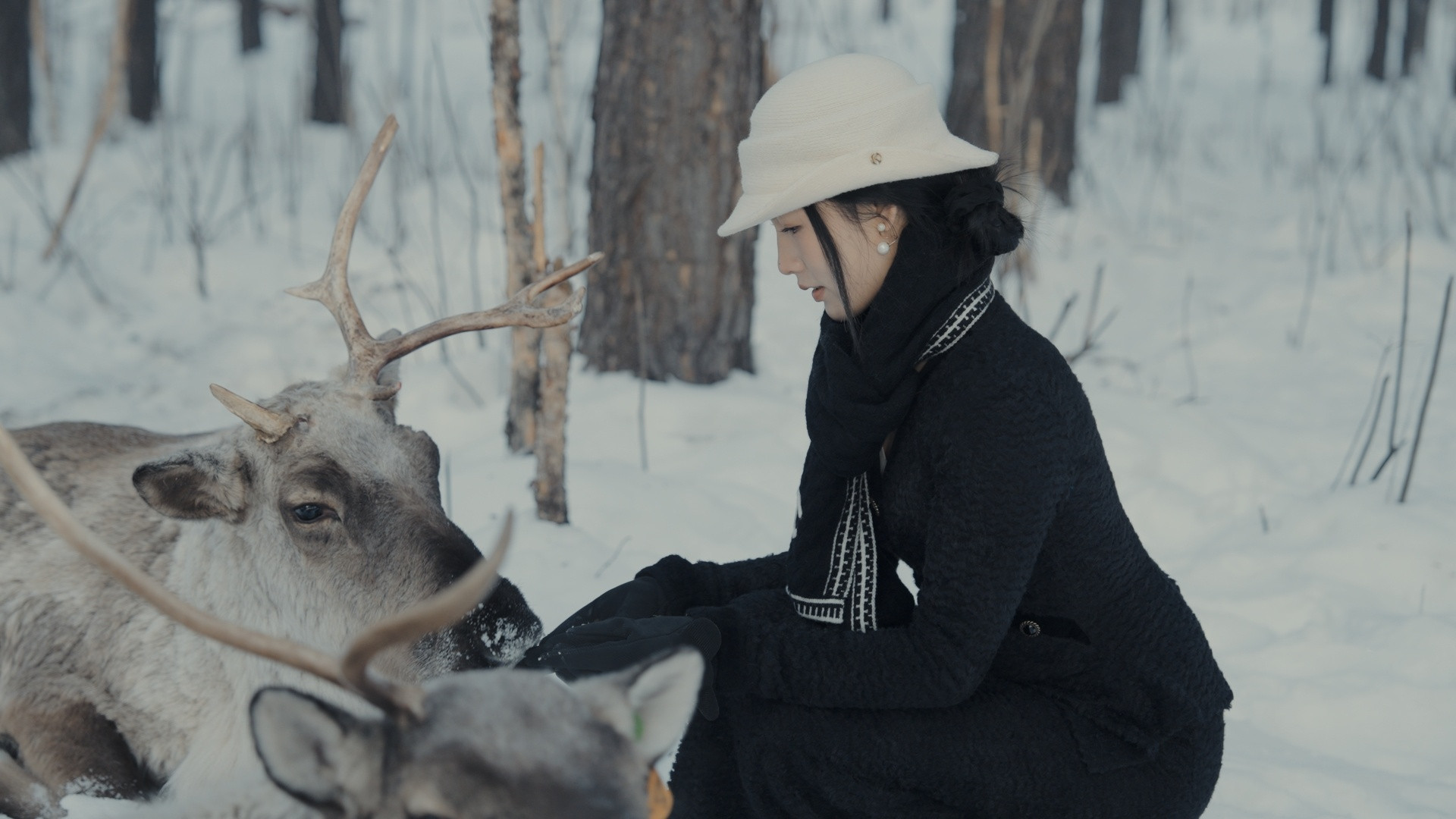 今日摄影：「在我国最北」雪上撒欢儿不得不说，本博的漂移，有点技术功底在的漠河·