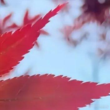 幸福原来是不用提醒的你忘了今天是生日。晚上回到家，桌上放着一个蛋糕，旁边有张纸条