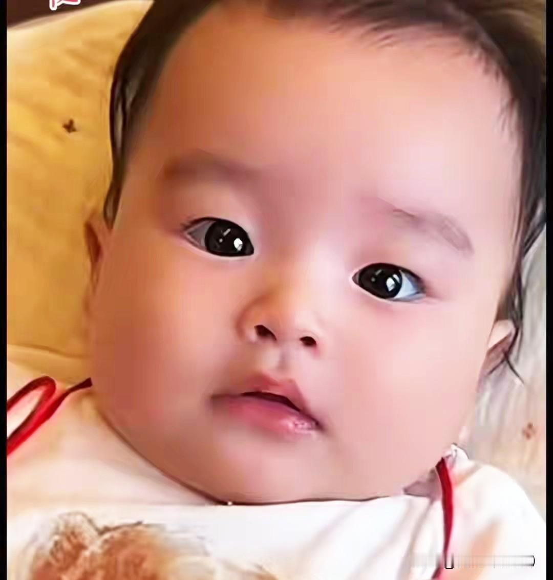 谁能想到，才四个多月的汪宝儿，小小年纪就解锁了精致日常，可爱模样萌翻了。马
