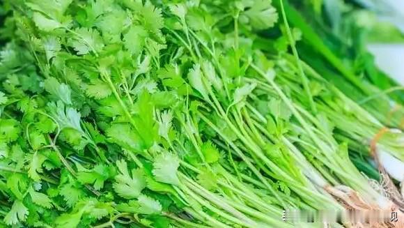 香菜基因大揭秘：原来讨厌香菜是天赋异禀？最近科学家们又搞了个大新闻！他们发现