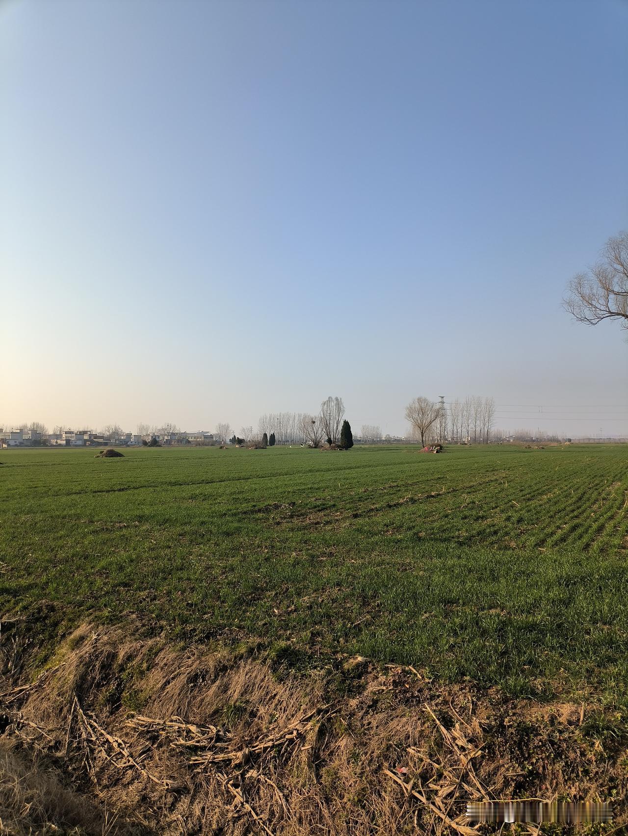 十多年前的一个夏天，麦茬玉米刚冒出幼苗不久，因天旱少雨，得抽水浇地。到了晚上，