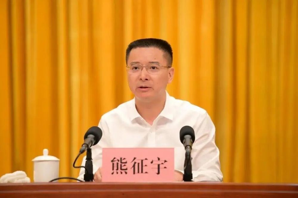 熊征宇任武汉市副市长、代理市长