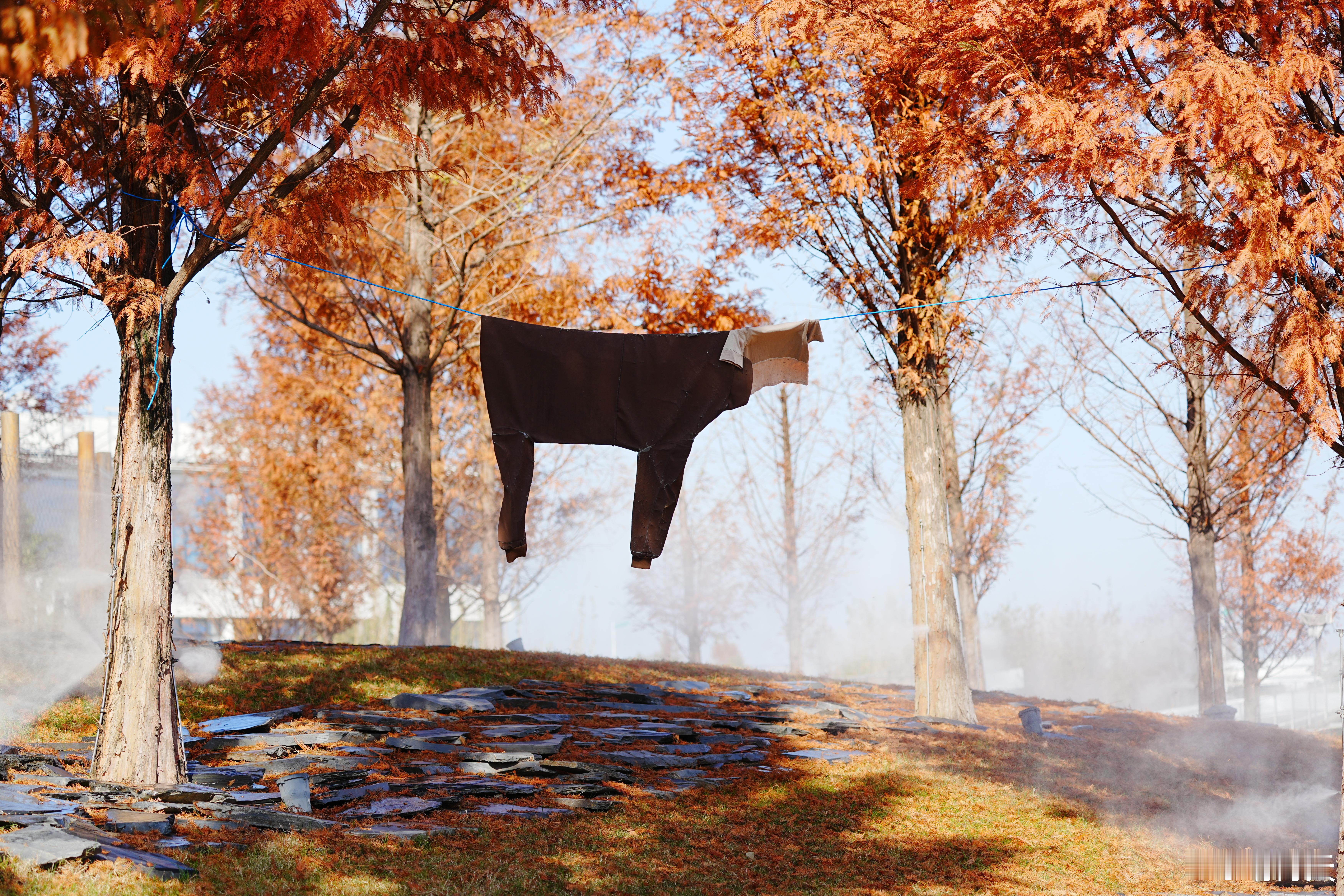 这是一头_________？蜗的摄影日记出片事务所