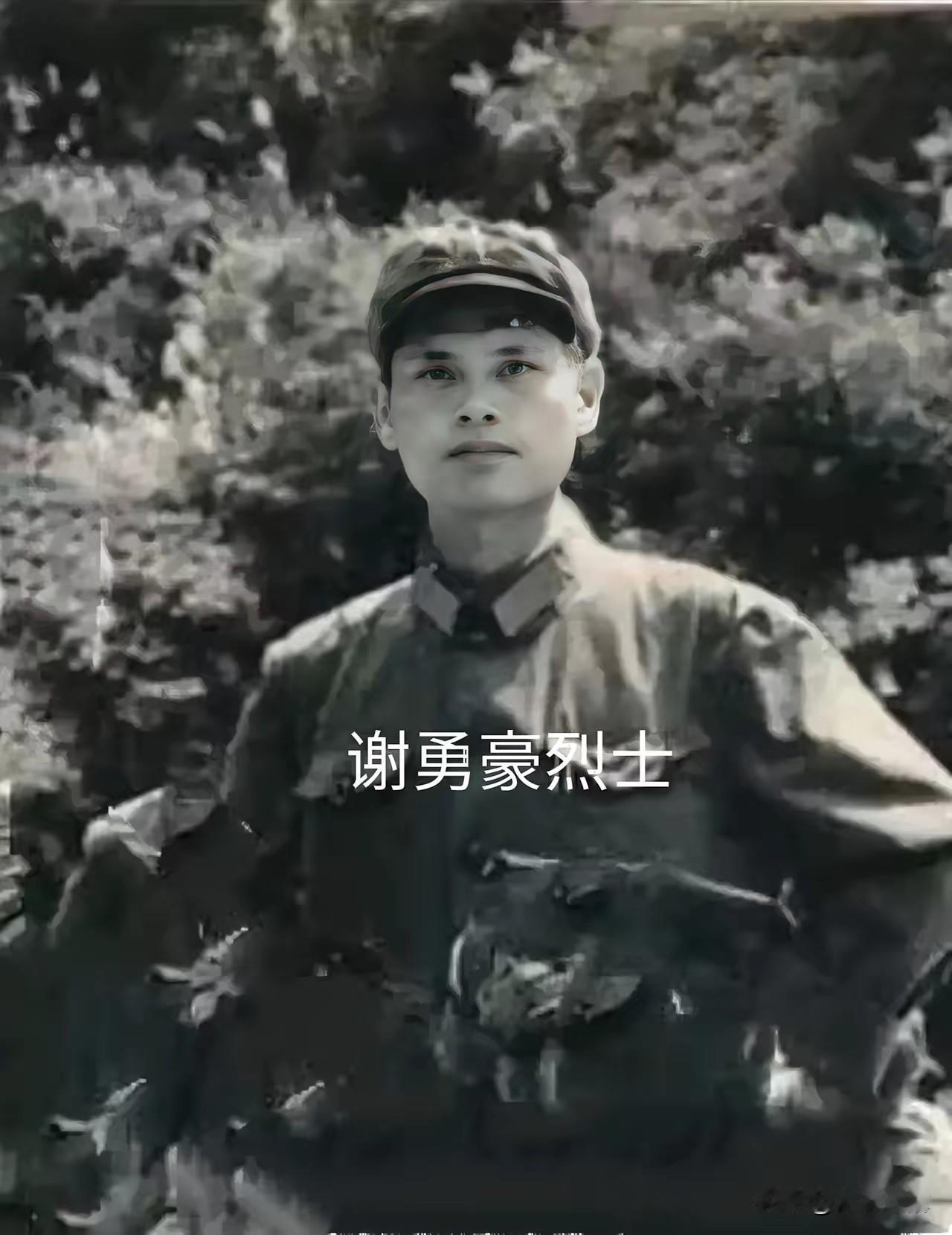 谢勇豪是我军牺牲在越南战场上的唯一一位战地记者，遗体被越军虐待后拖走，师长大恕: