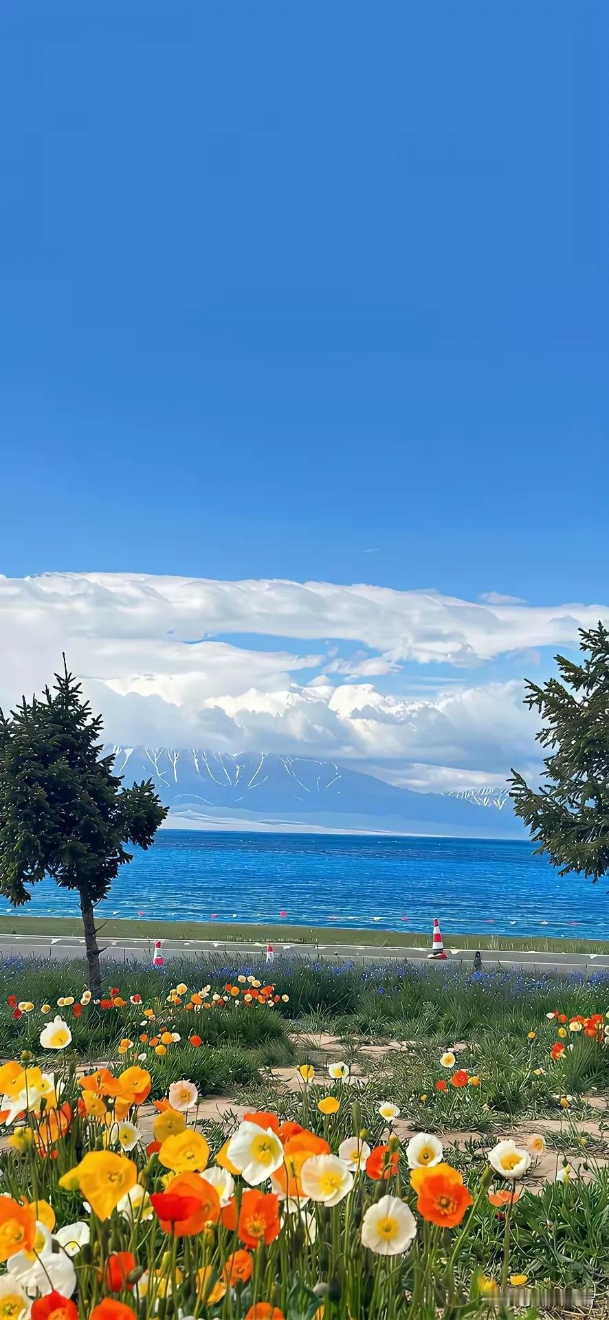 人老了，尽量不要做的三件事。第一：尽量少碰染发膏。第二：尽量别往远处跑