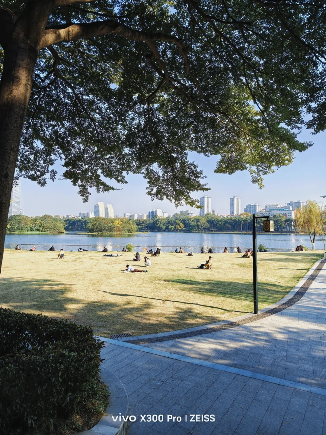 南宁冬天的松弛感都藏在南湖里了吧