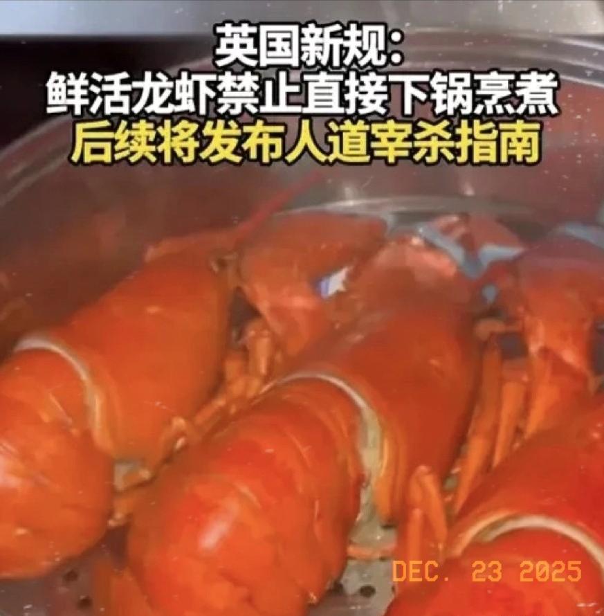 真是脱裤子放屁，多此一举！最近英国出的一项新规，看了让人忍不住想吐槽一句“脱裤