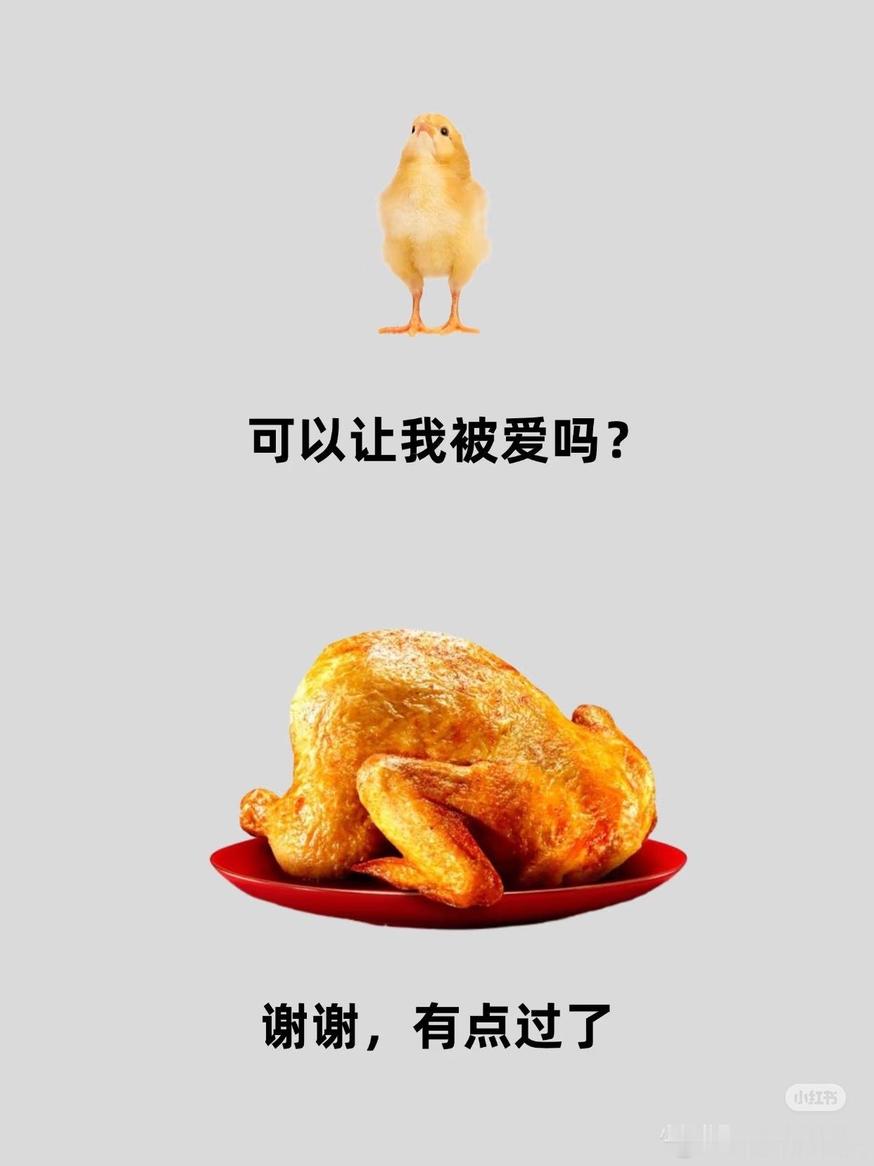 不客气的给我吃一吃一切都会好的今日最佳​​​