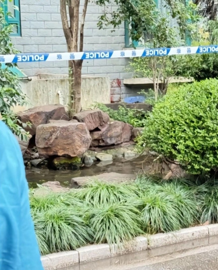 痛心！高三学子成绩不理想上不了清北想不开去世了！6月11日，上海七宝中学一位学