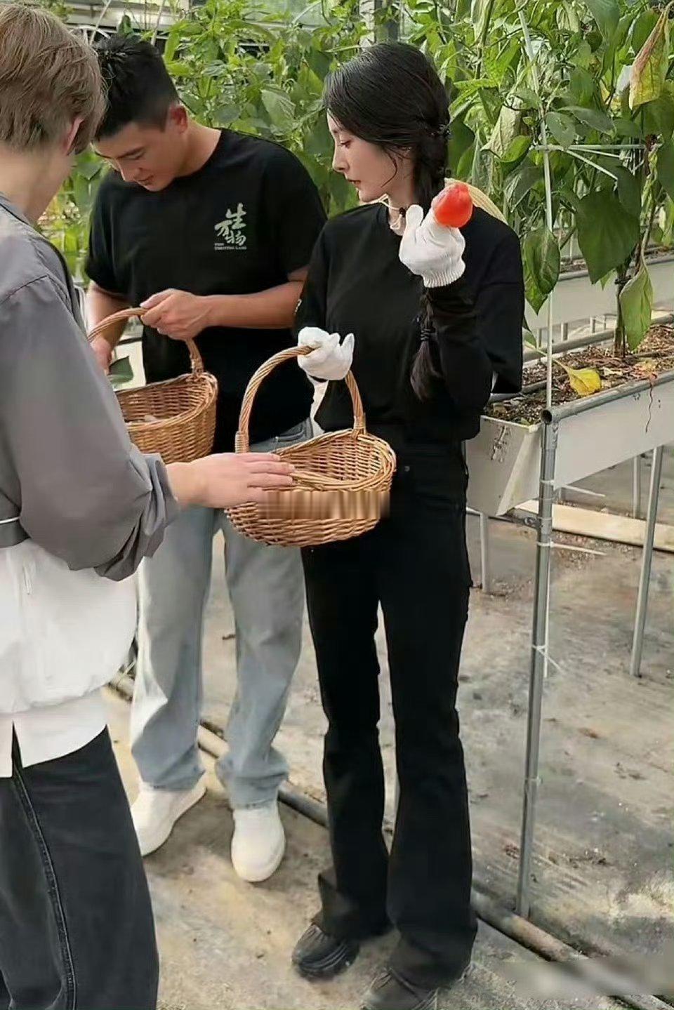 震惊杨幂生图状态居然是这样的