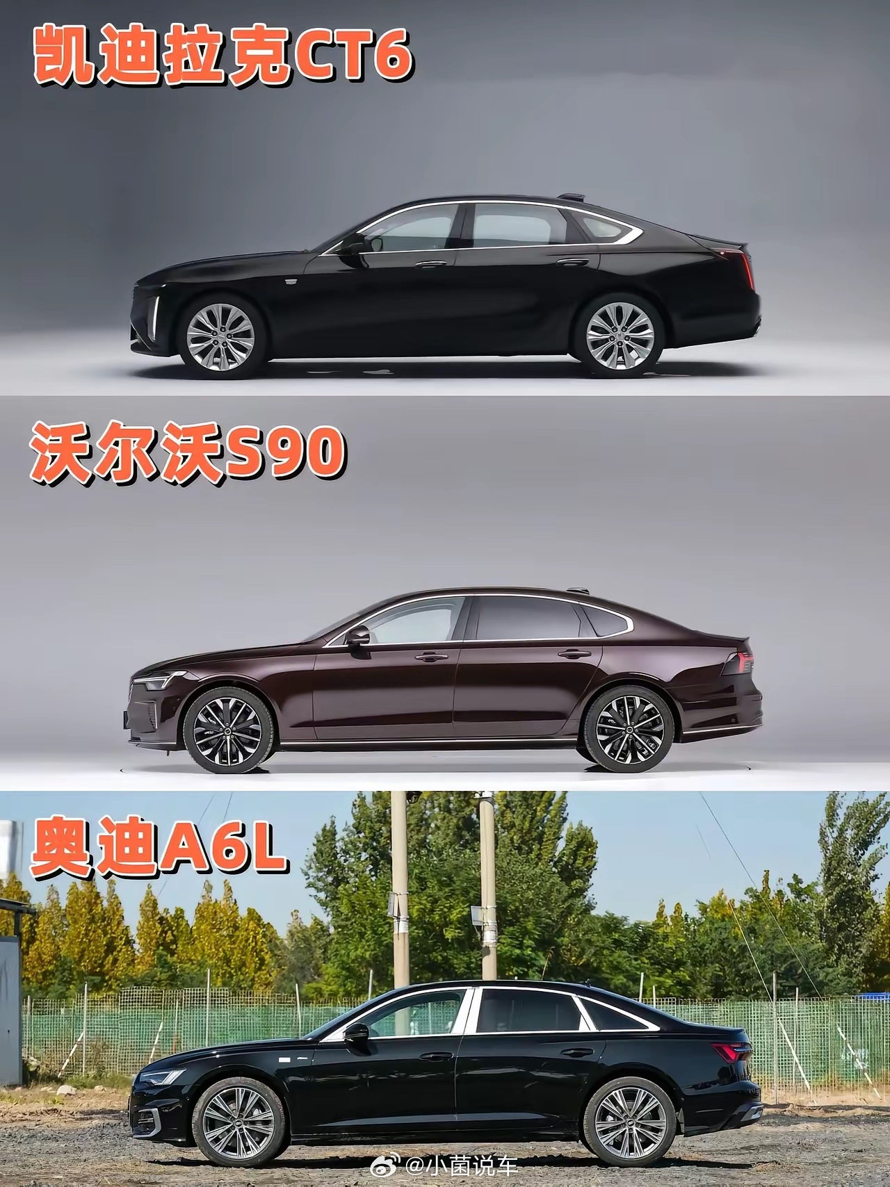 这个级别你会选哪个？小菌车视界大v聊车