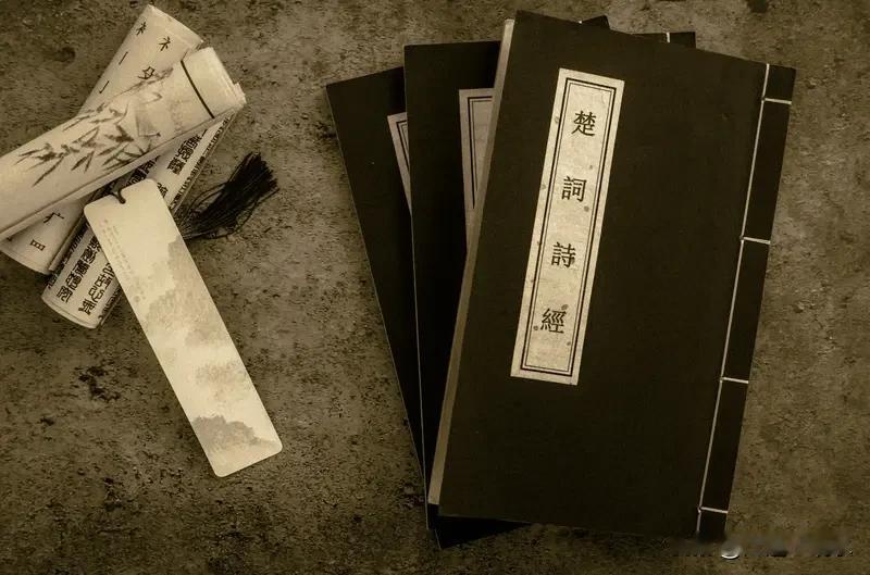 两千多年后更新，这文化传承真的是绝了，《诗经》在2025年更新了，一本书跨越两千