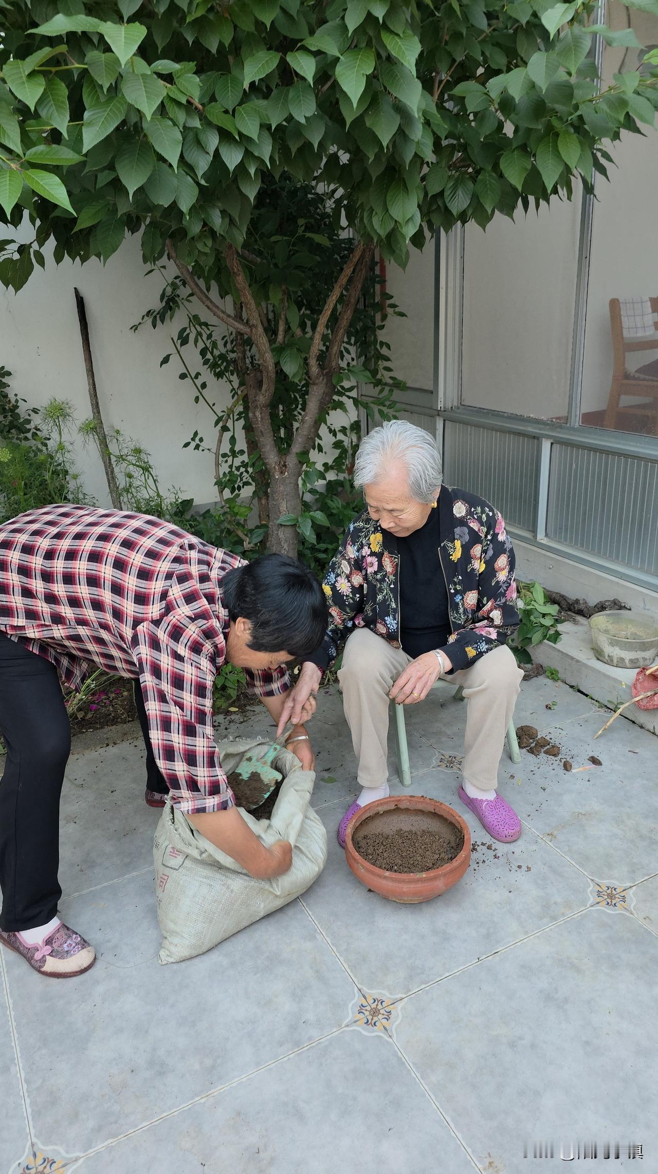 最近突然觉得，人到晚年，最好的状态不过如此……退休以后，我喜欢回村里住，身