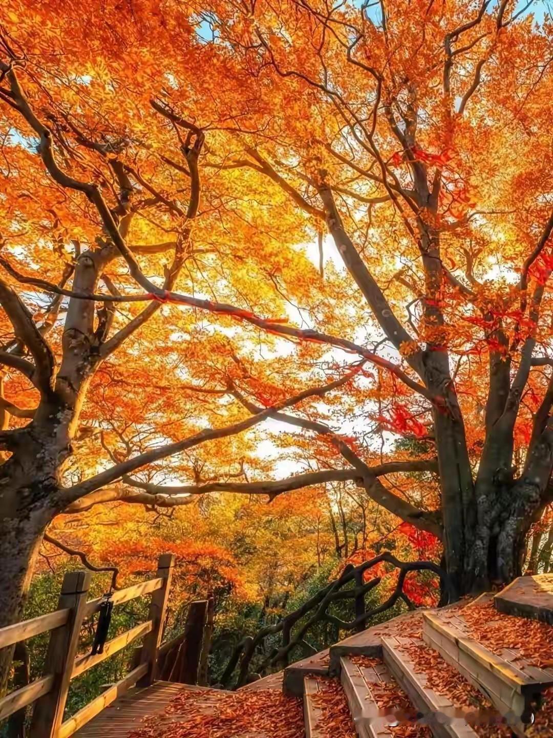 分享你随拍的风景