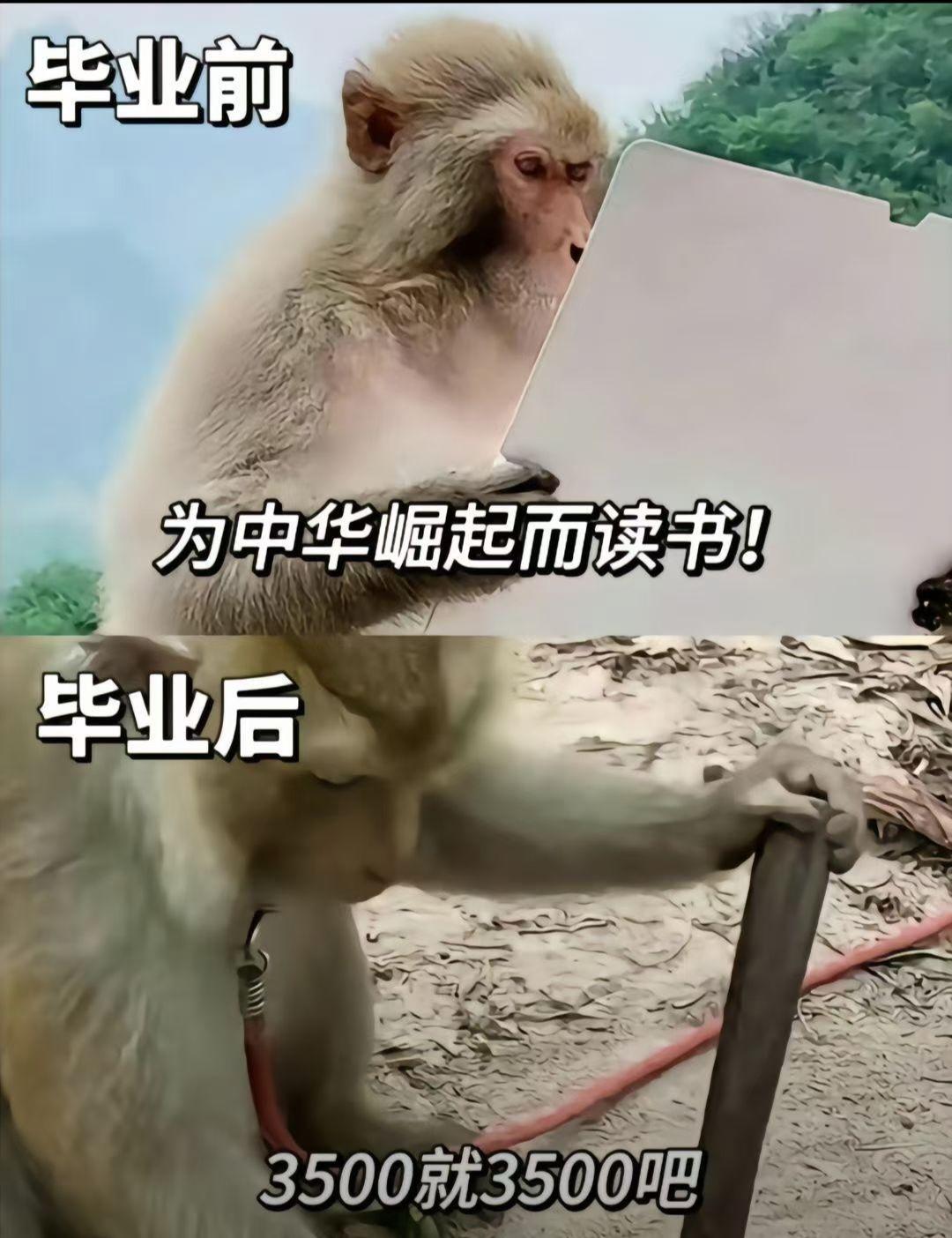 当代年轻人现状