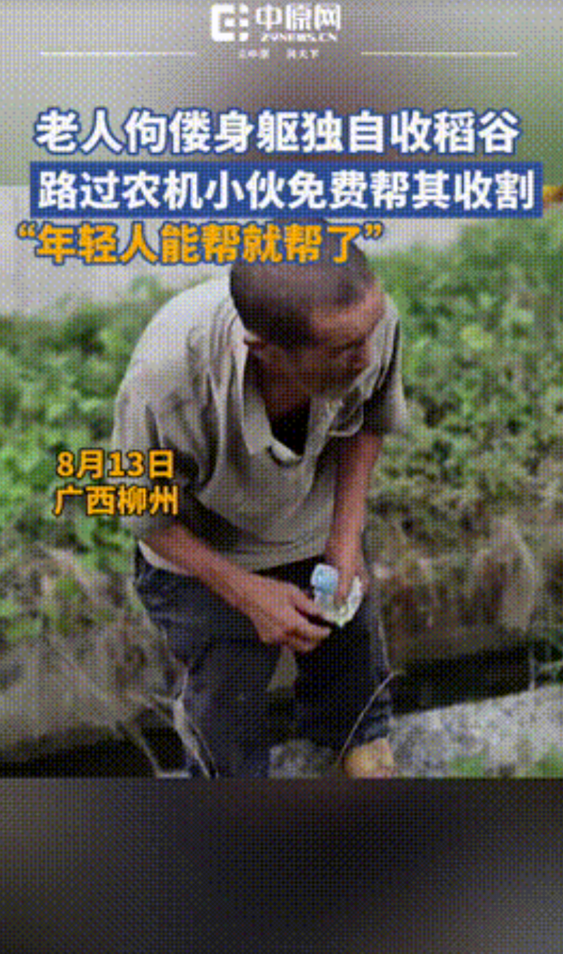 “难怪人家能赚到钱！”广西柳州，一小伙驾驶农机工作时，看到了一老人正佝偻着收稻谷