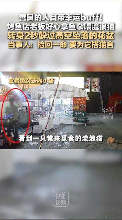 “太有灵气了！”1月27日，贵阳，一烤鱼店老板在处理鱼时，将内脏的残留物顺手喂给