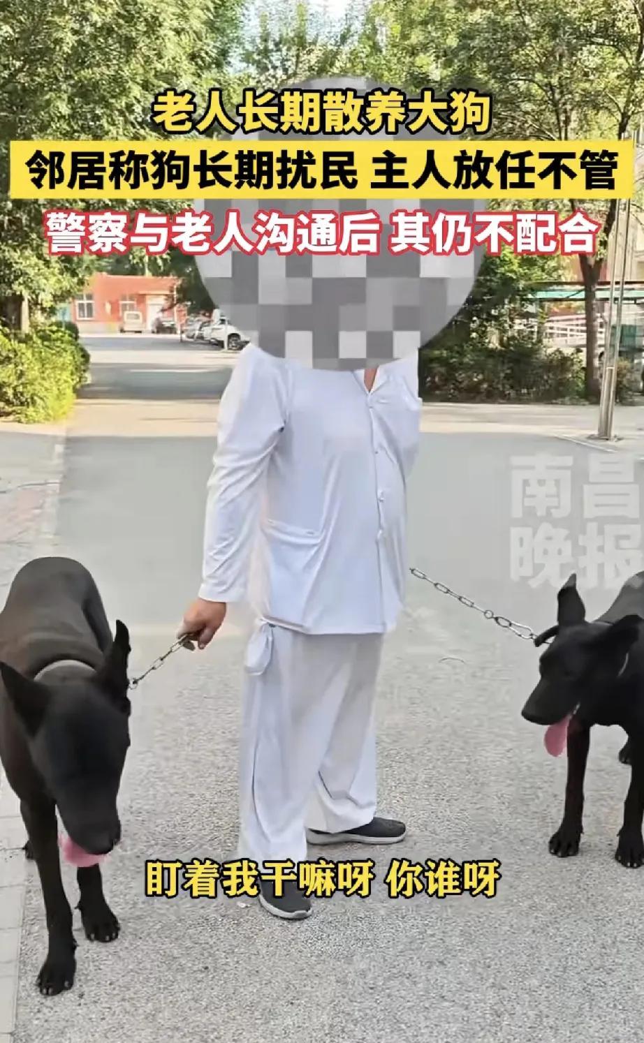 近日，南阳一小区发生老人长期散养大狗扰民事件，引发社会关注。据邻居反映，该大型犬