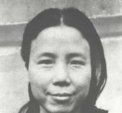 1985年，赵君陶临终前期盼李鹏到来，为什么说“要防狗”？85年，当时的国务院副