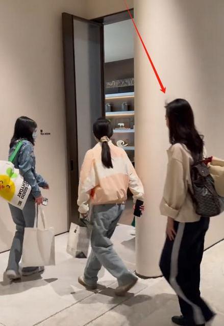 40岁王丽坤现身上海楼盘，看千万豪宅尽显优雅姿态在娱乐圈这个风云变幻的舞台上，