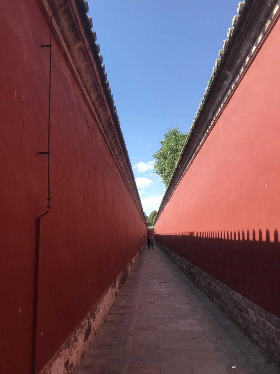 故宫夹墙清朝末年，宫里有个老太监叫顺喜，守了一辈子库房。临终前，他把徒弟