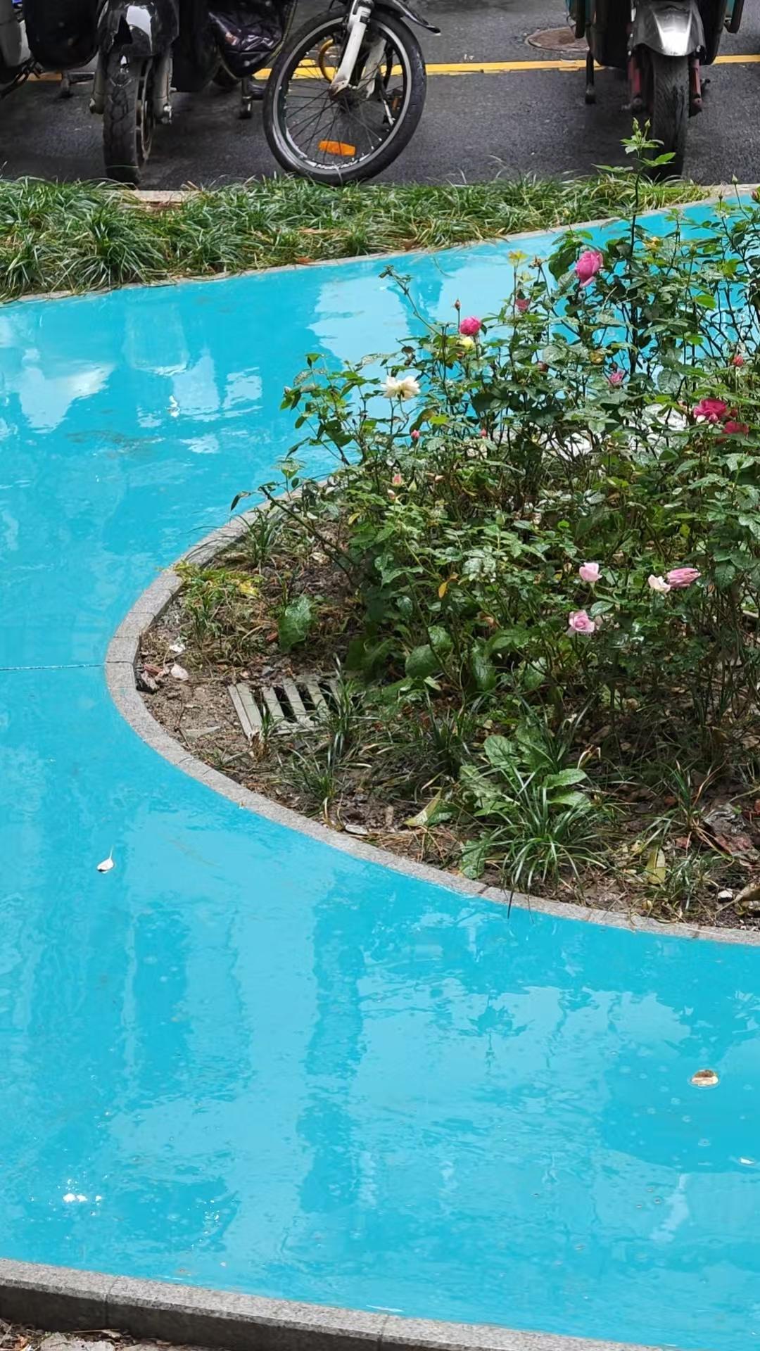 陪着老爸在上海交通大学第九医院看病，今天是我来的第三个清晨。12月3日出院，