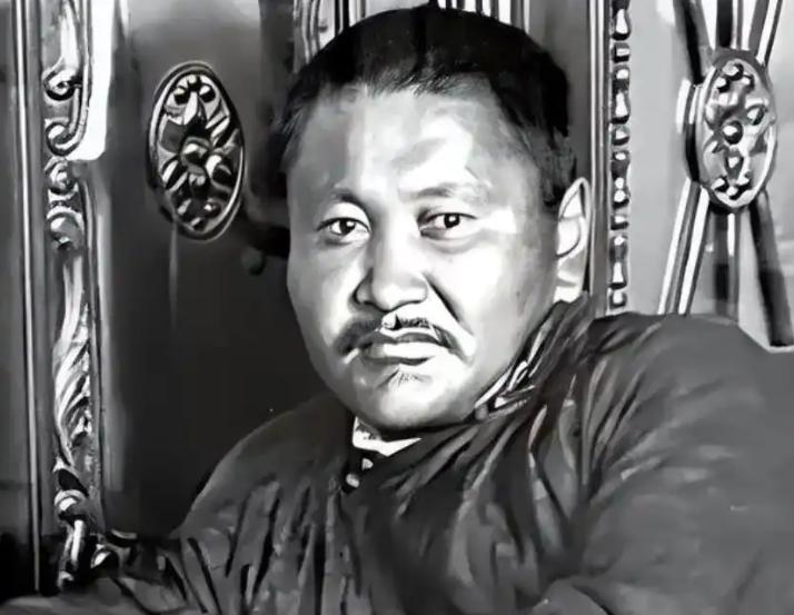 扬言拯救蒙古的斯大林，为何逼蒙古人自相残杀？1936年，日本计划从蒙古进攻苏