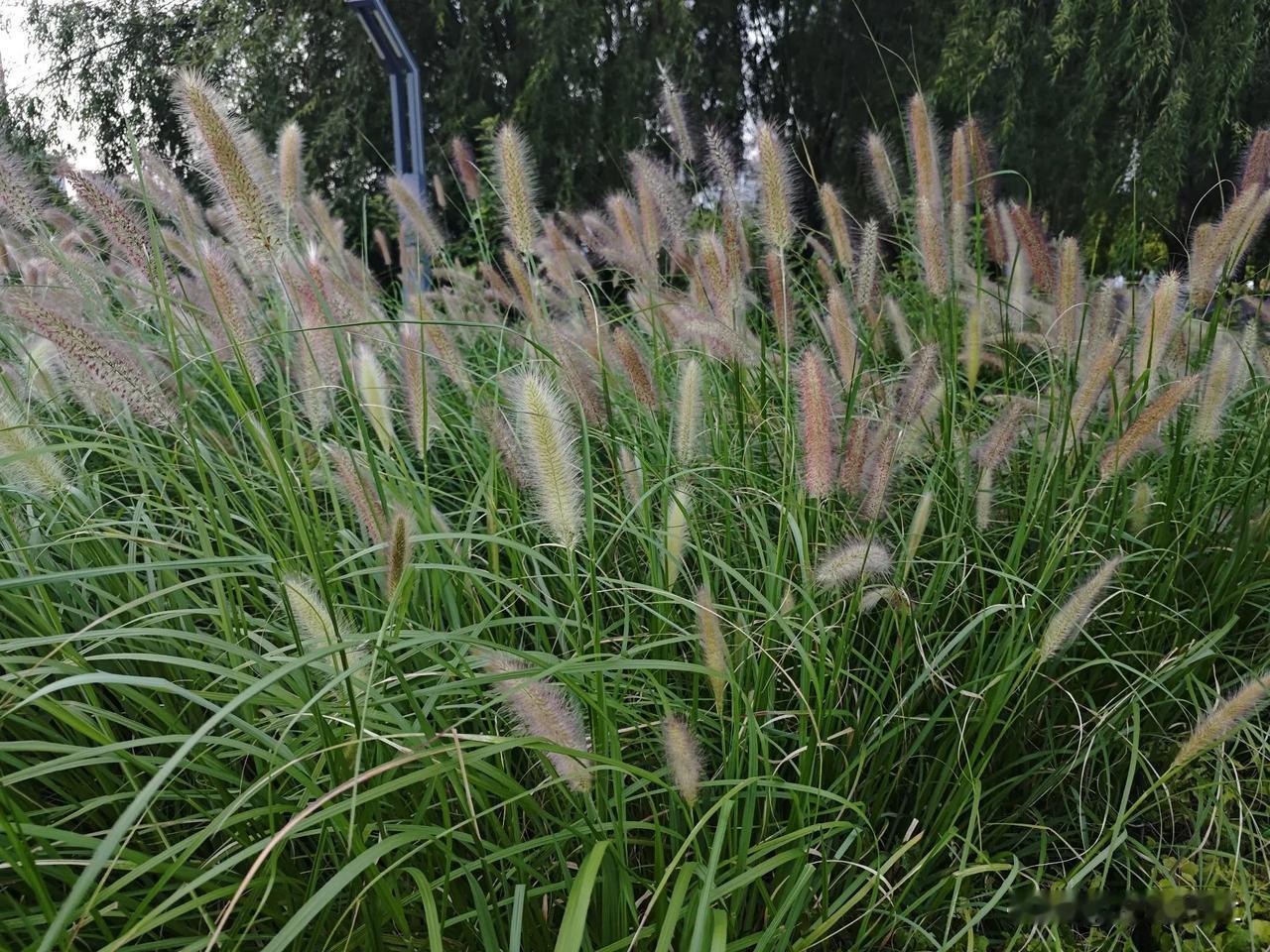 职场面对强人怎么办？硬刚伤和气，顺从被拿捏，试试这3招！1.表面示弱，内心坚