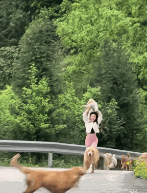 她摔跤了我竟然第一担心的是狗!