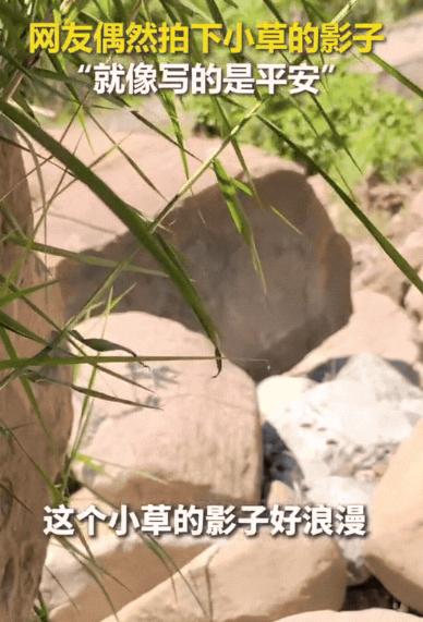 解释不清了！四川，女生出门钓鱼，发现旁边草丛下有个黑影，她起初以为是蛇，可凑近一
