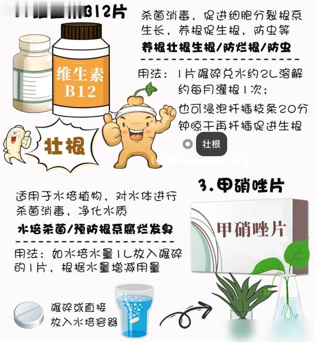 生活中的废料, 是养花的宝贝, 当成肥料用, 春天促开花!