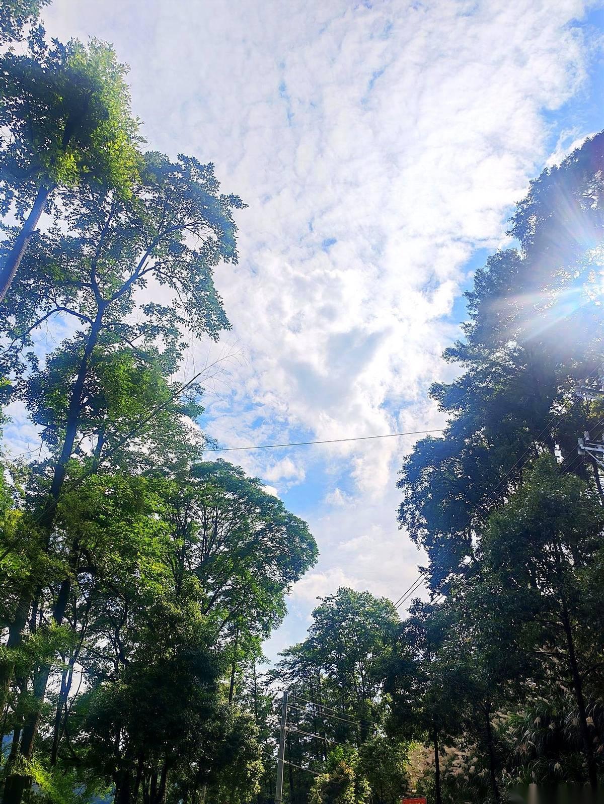 妈呀，今天听了个事儿，给我惊得半天没回过神。复旦的研究生，光是租房，三年就得花
