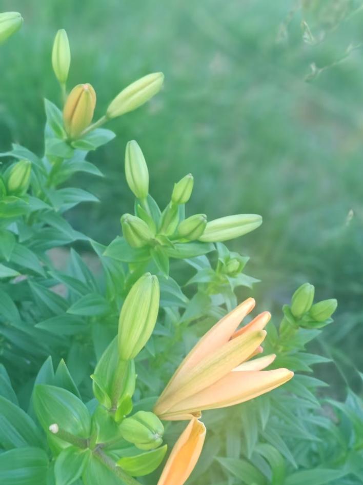 健康是唯一，健康是存款，快乐是利息，金钱是财物，地位是虚名，名利是云烟
