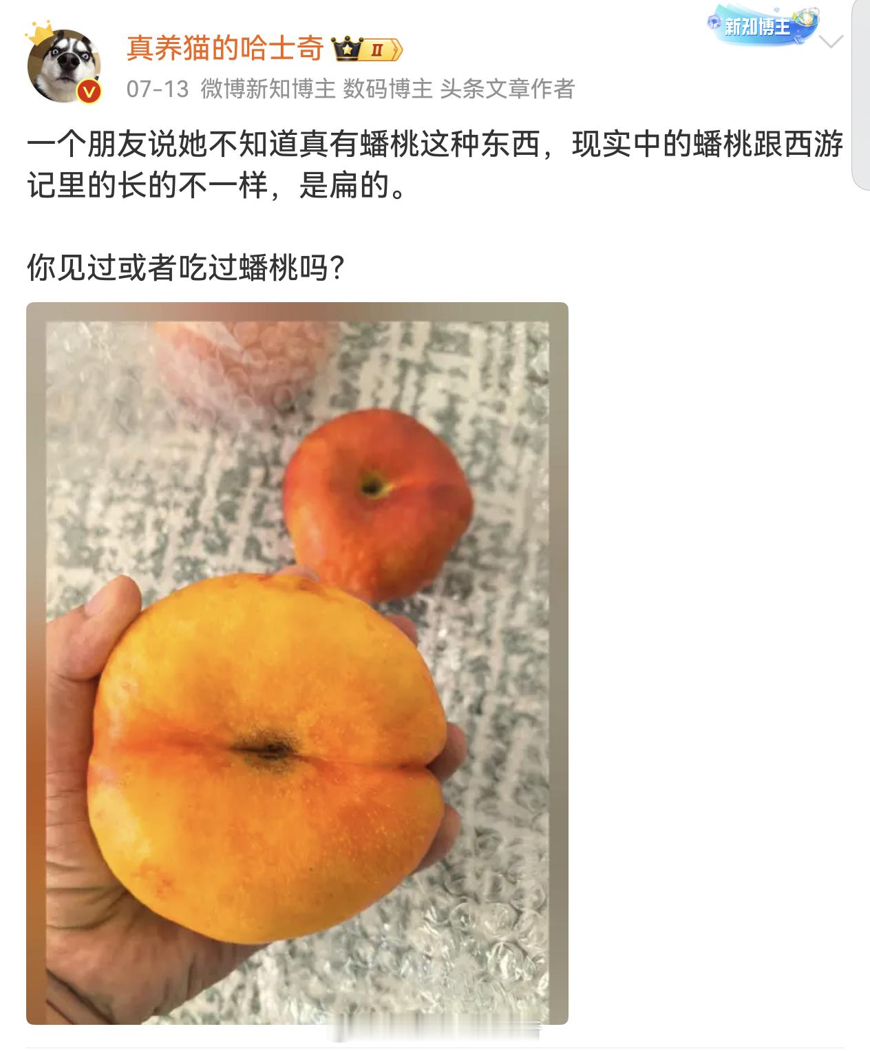 日本视为珍宝的蟠桃很便宜就买到了其实很多国人都不知道蟠桃其实是扁的[捂脸哭]美团